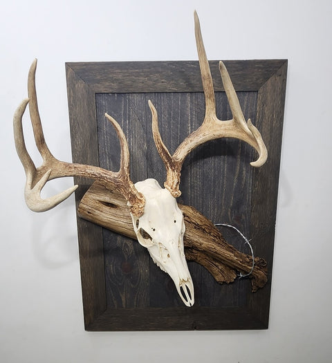 The Rustic European Mount Plaque