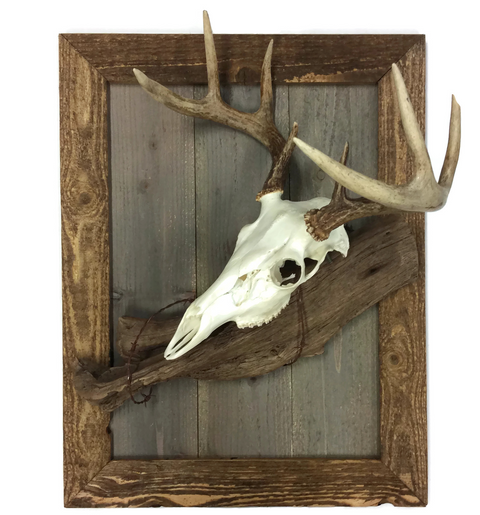 Golden Oak Rustic European Mount Plaque